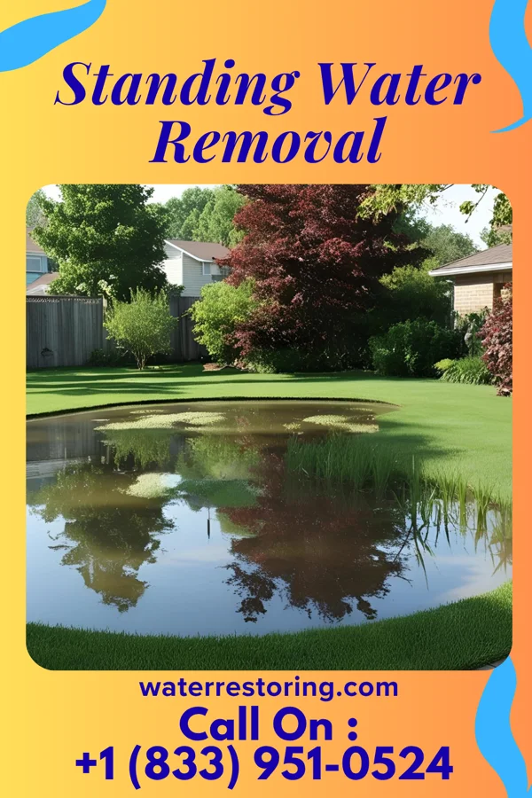 Standing Water Removal in Sargent, NE